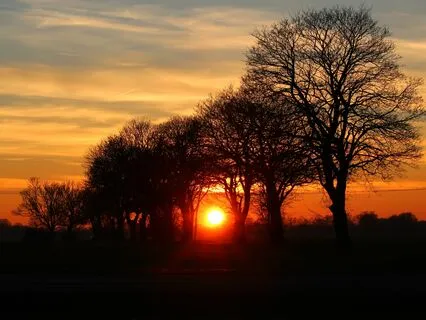 444Hz 44Hz 4Hz | Sacral Chakra Activation: Theta Waves (8D)