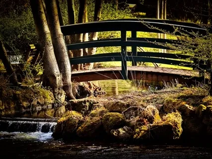 444Hz Brook In The Woods Tongue Drum Session