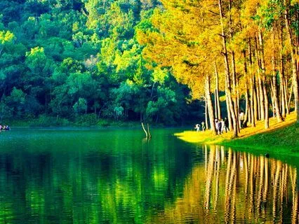 444 Hz Health And Wellness Frequency | Crane Song