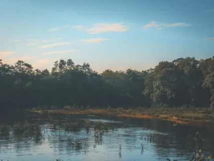 45-Minute Relaxation Music - Dive Deep