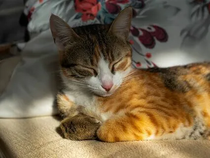 45-Minute Yoga Nidra For Deep Rest And Relaxation