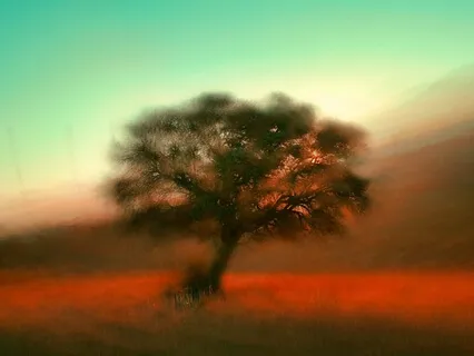 46 125 To 369Hz Experiment - Long Version