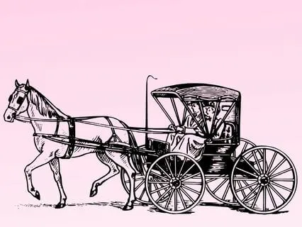 46 Pride And Prejudice  - Stephanie Poppins