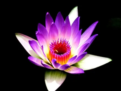 4D Abundance Affirmations