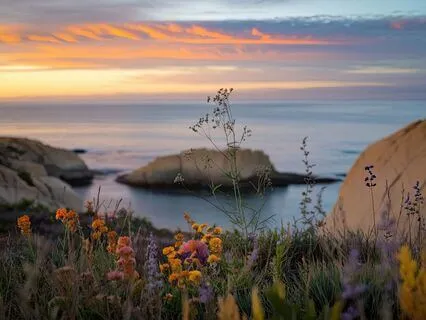 4 Hz Delta Deep Sleep Waves For Healing And Calm