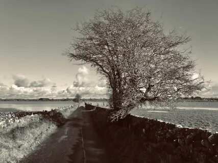 4Hz Isochronic Tone For Meditation Or A Cat Nap