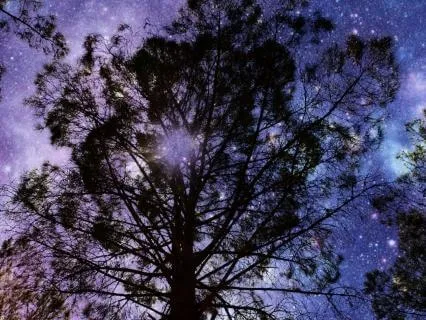 4Hz Theta Calm — Soothing Music For Deep Relaxing Sleep