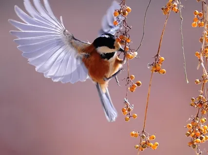 4th Chakra Meditation For Love & Happiness