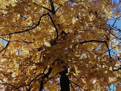 5 - 20 Minute Awareness Of Breath Meditation