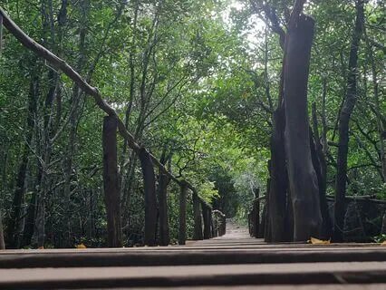 5-4-3-2-1 Technique To Deal With Anxious Thoughts