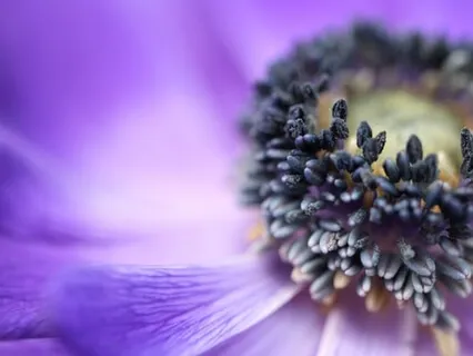 A Return To Wholeness