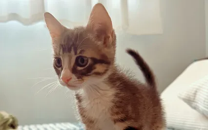 5 Affirmations For Our Day