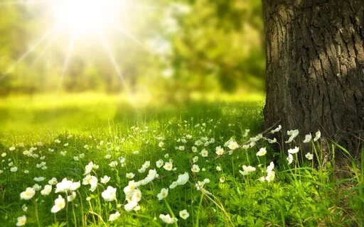 5 Breaths And 5 Intentions To Relieve Stress 