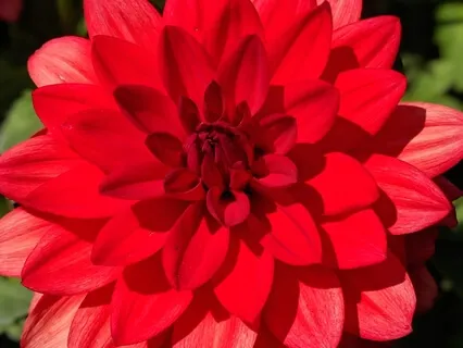 5 Common Blocks In The Base Chakra Of Your Biz