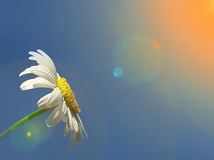 5 Concentration & Awareness - Move Your Mind