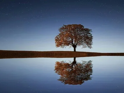 5 Daily Affirmations For Your Evening