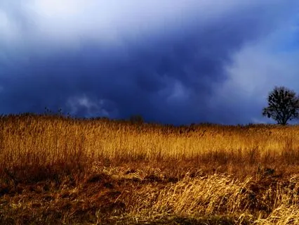 5 De Abril: A Gentle Piano & Guitar Meditation