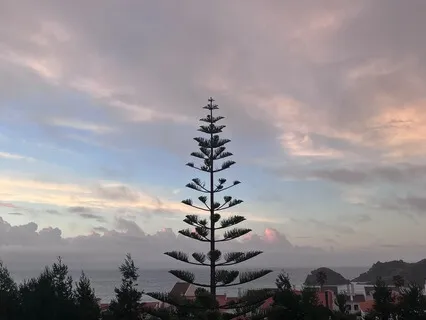 5 Element Mudra Meditation: Intro To Space : Akash Mudra