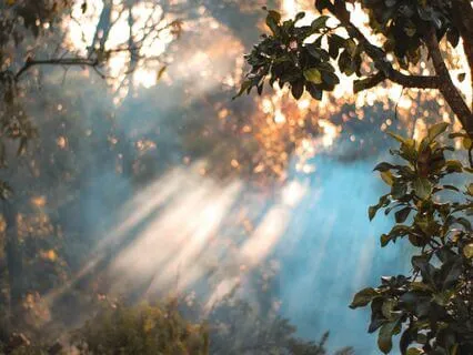 5 Elements Meditation For Deep & Restful Sleep