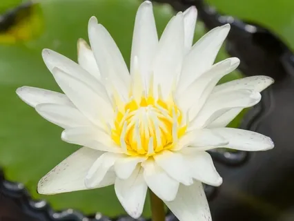 5 Elements Of Love | Session 1 - On Love