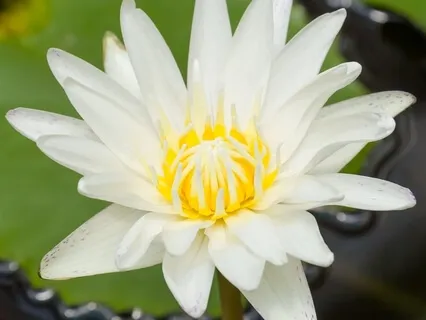 5 Elements Of Love | Session 2 - Understanding