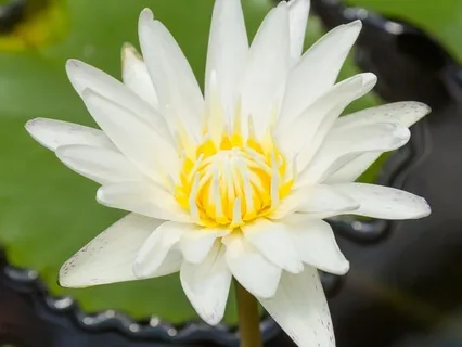 5 Elements Of Love | Session 3 - Care