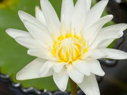 5 Elements Of Love | Session 4 - Responsibility