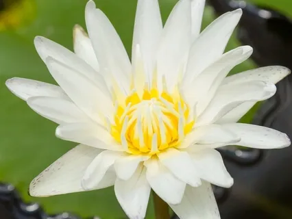 5 Elements Of Love | Session 6 - Trust