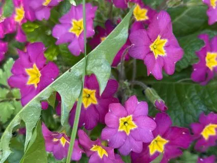 5 Finger Appreciation - With Introduction