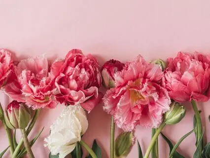 5 Hz Theta Waves: REM Sleep & Creativity Boost