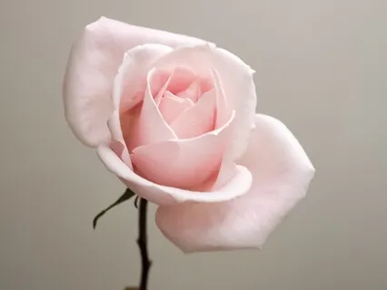 5 Keys To Navigate Setbacks 