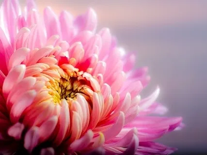 5 Khandas (Aggregates Of Existence) - English & German