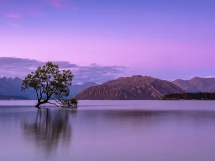 5 Minute Meditation On Arriving In Presence