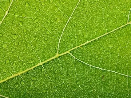 5 Min Body Scan For Neurodivergent