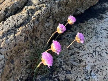 5-Min Break To Reconnect With Yourself