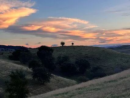 5-min Breath Awareness Meditation