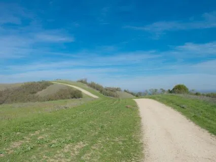 5-Minute Breathing Meditation For Finding Peace And Space