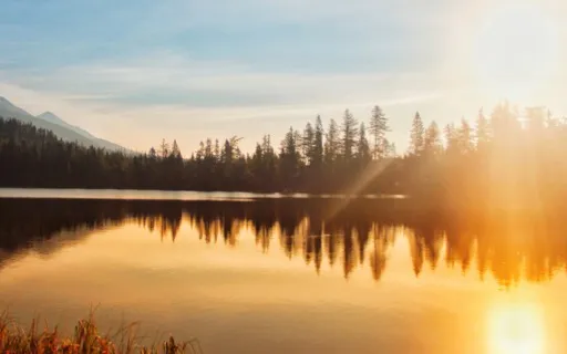 5 Min Clearing & Resetting