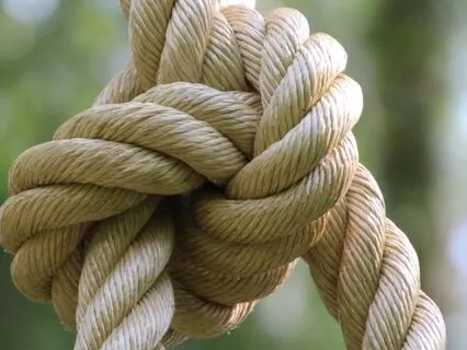 5-Min Cord Cutting: Reclaim Your Energy & Let Go