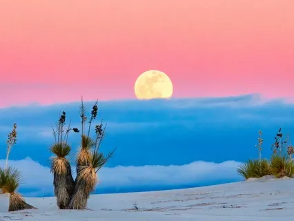 5-Min Daily Meditation For Growth & Strength