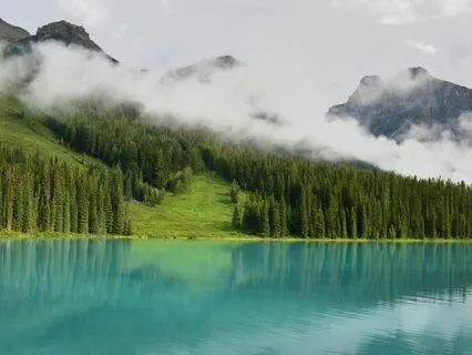 5-Minute Gratitude And Calm