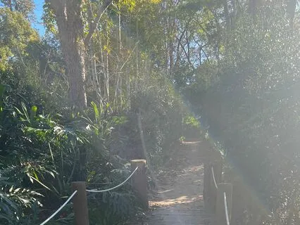 5-Minute Grounding And Breathwork