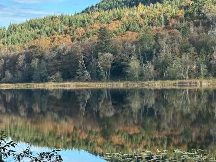 5 Min. Grounding Meditation For Overwhelm