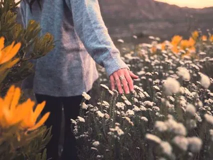 5-Minute Guided Gratitude Meditation For Beginners