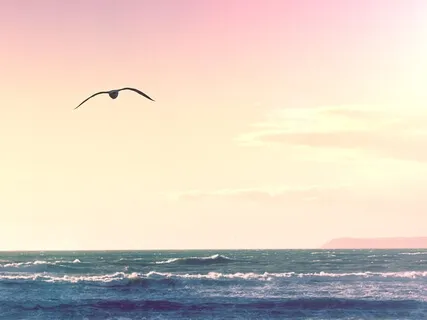 5-Minute Guided Meditation With Pranayama For Stress & Anxiety Relief