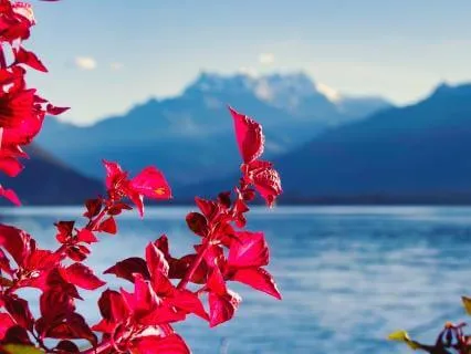 5 Min Meditation: Grateful And Relieved