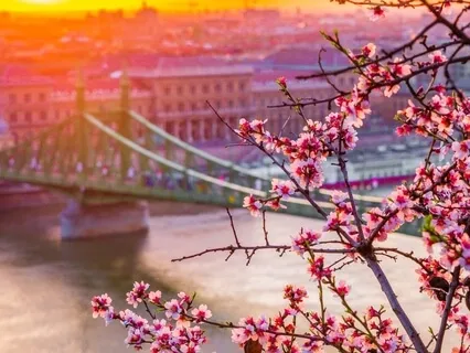 5 Minute Practice For Developing An 'Observer Persepctive'