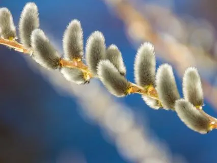 5-Min Morning Gratitude | Let It Flow Everywhere