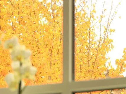 5-Minute Open-Eye Mindfulness Meditation