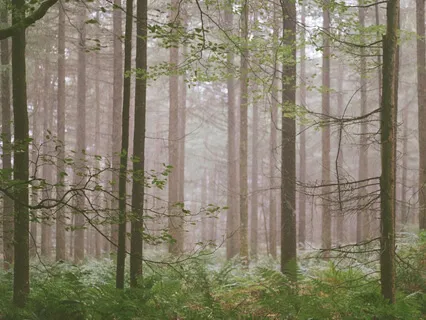 5-Min Qigong Standing Meditation